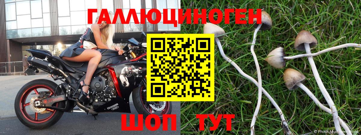 Галлюциногенные грибы Psilocybine cubensis  Вход с VPN  Сергиев Посад 