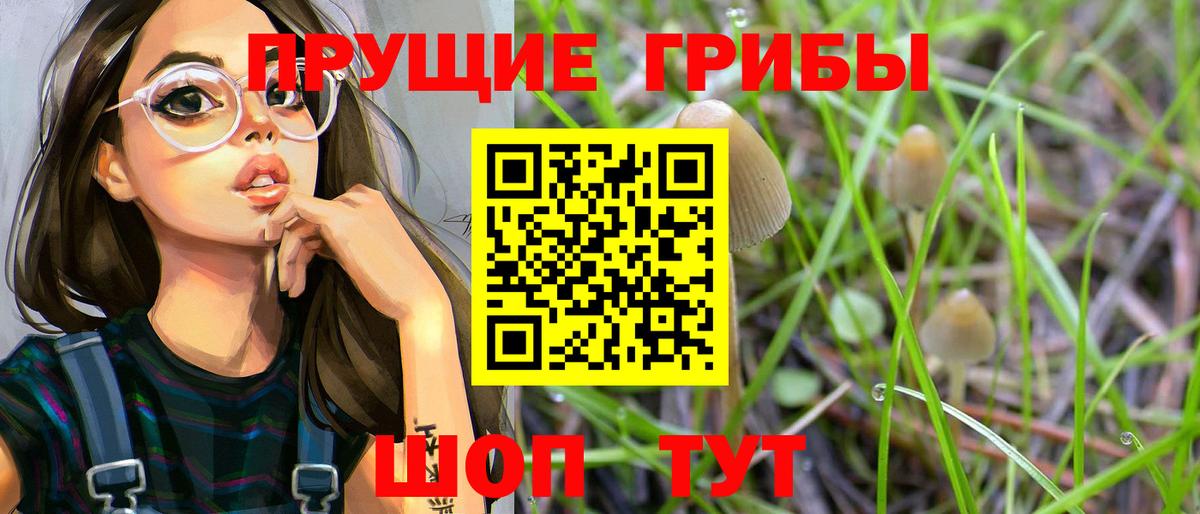 Псилоцибиновые грибы Cubensis Сергиев Посад